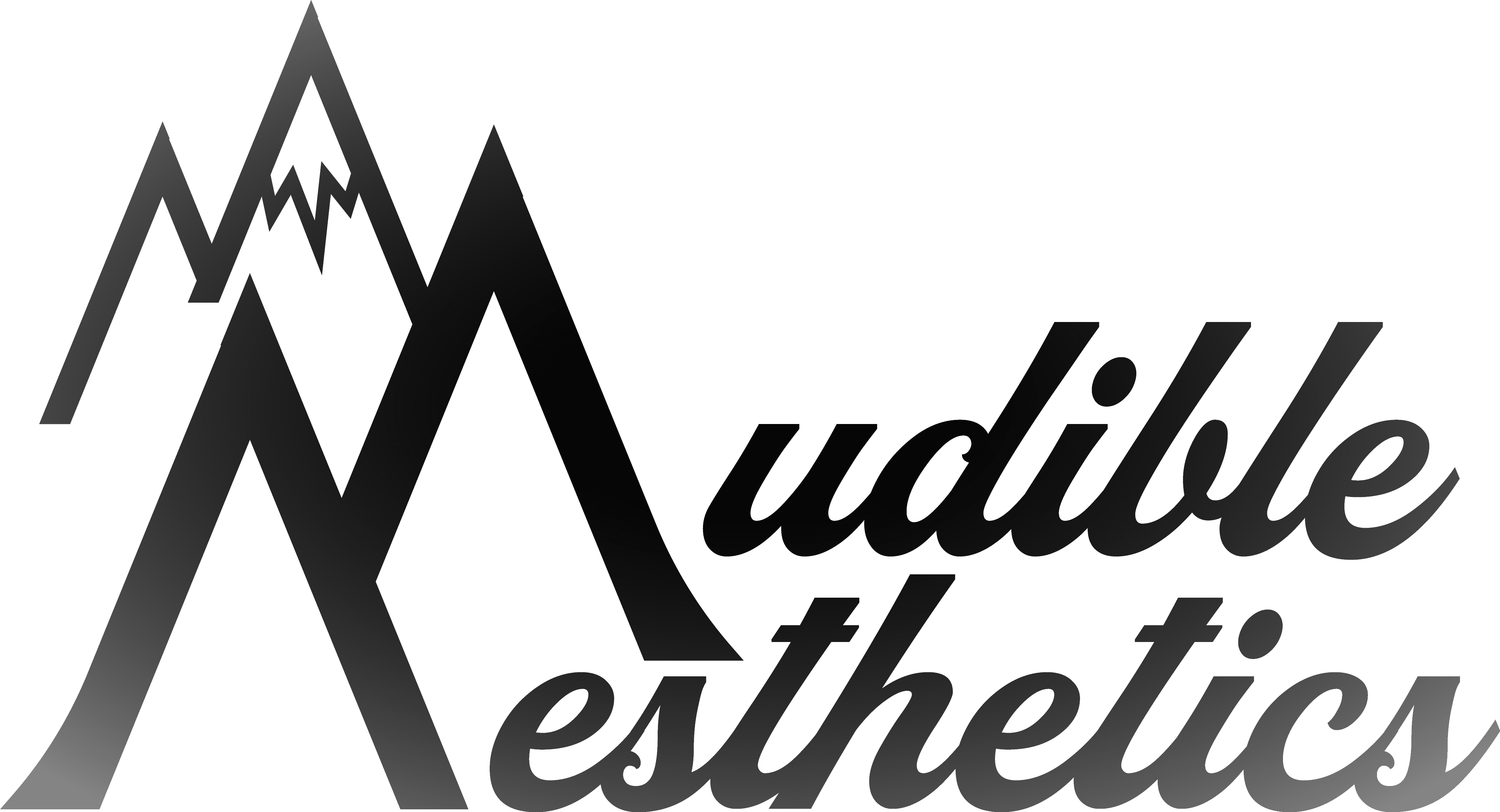 Audible Aesthetics